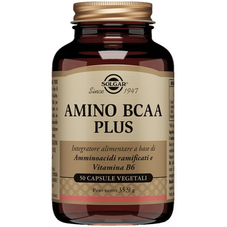 Amino Bcaa Plus 50 Capsule Amino Bcaa Plus 50 Capsule