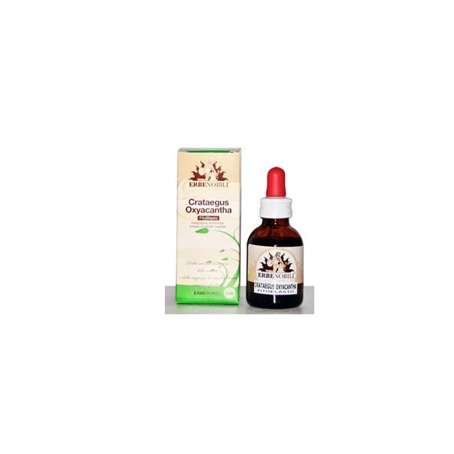 FITOBLASTO CRATAEGUS OXYACANTHA 50 ML FITOBLASTO CRATAEGUS OXYACANTHA 50 ML
