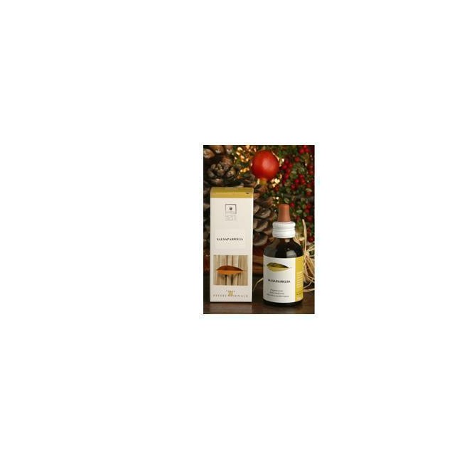 EQUISETO BIO TM 50ML STV
