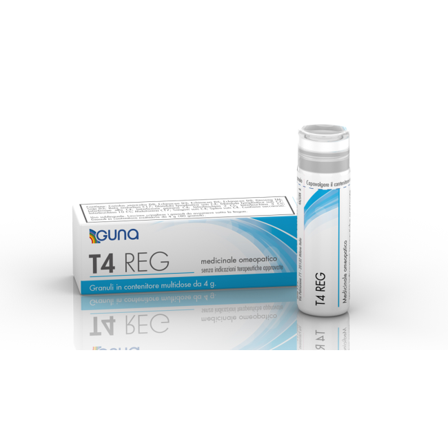 T4 REG*4G 80GR CONT MULTID T4 REG*4G 80GR CONT MULTID