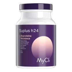 Mycli Suplus H24 Bioproteina Rebalance 420 G