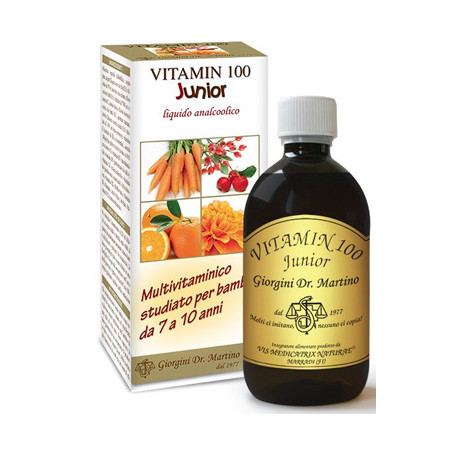 VITAMIN 100 JUNIOR LIQUIDO ANALCOLICO 500 ML