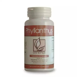 Dab 007 Phyllanthus+ 60 Compresse