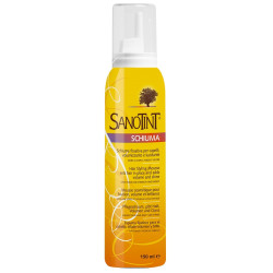 Sanotint Schiuma Fissativa