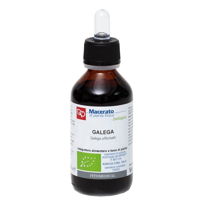 GALEGA 100 ML TINTURA MADRE BIO GALEGA 100 ML TINTURA MADRE BIO