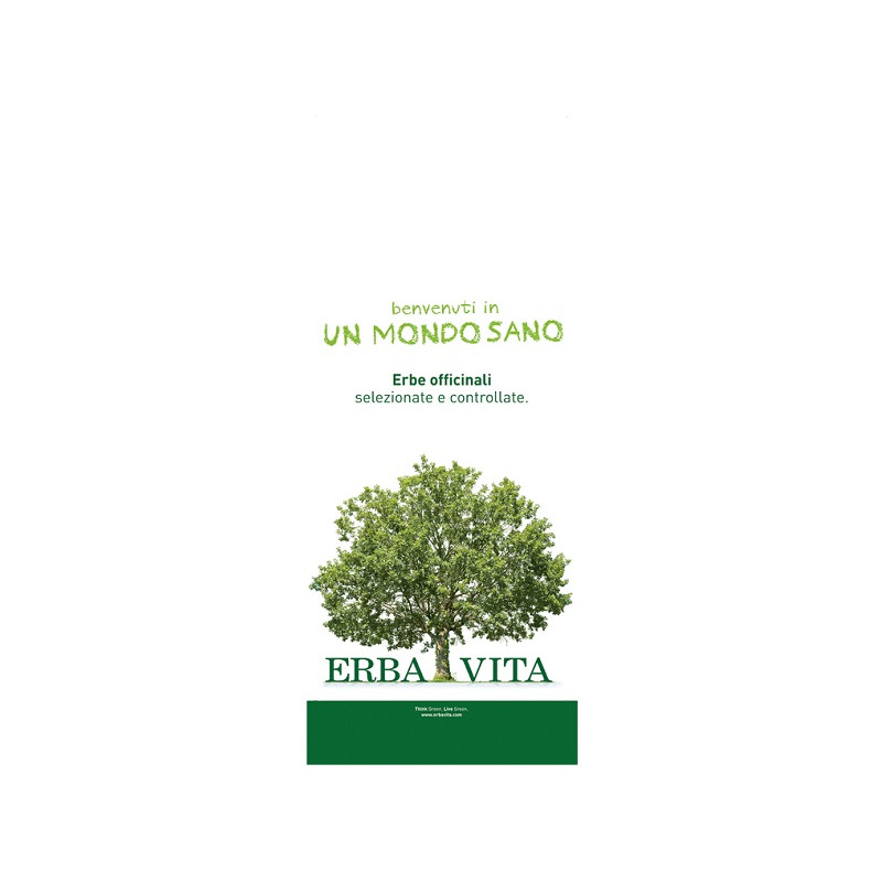 Zenzero Polvere Rizoma 100 G Zenzero Polvere Rizoma 100 G