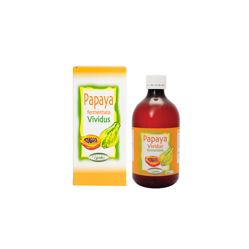 PAPAYA FERMENTATA 500 ML PAPAYA FERMENTATA 500 ML