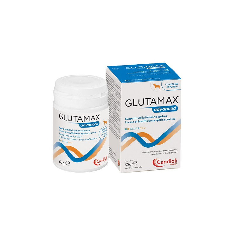 Confezione da 30 compresse di Glutamax Advanced, integratore per la funzionalità epatica dei cani. Confezione da 30 compresse di Glutamax Advanced, integratore per la funzionalità epatica dei cani.