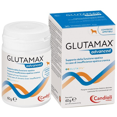 Confezione da 30 compresse di Glutamax Advanced, integratore per la funzionalità epatica dei cani. Confezione da 30 compresse di Glutamax Advanced, integratore per la funzionalità epatica dei cani.