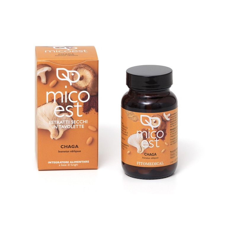 Chaga Estratto Secco 60 Tavolette Chaga Estratto Secco 60 Tavolette