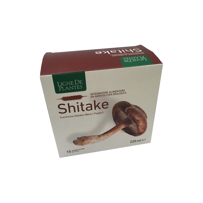 LIGNE DE PLANTES SHITAKE BIO 15 AMPOLLE DA 15 ML LIGNE DE PLANTES SHITAKE BIO 15 AMPOLLE DA 15 ML
