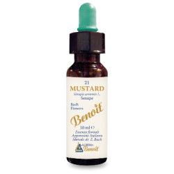 FIORI DI BACH BENOIT MUSTARD 10 ML