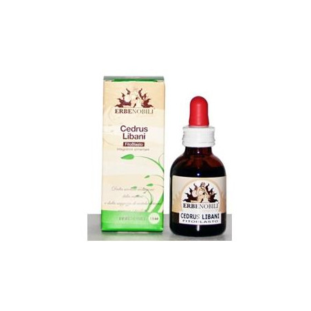Fitoblasto Cedrus Libani 50 Ml Fitoblasto Cedrus Libani 50 Ml