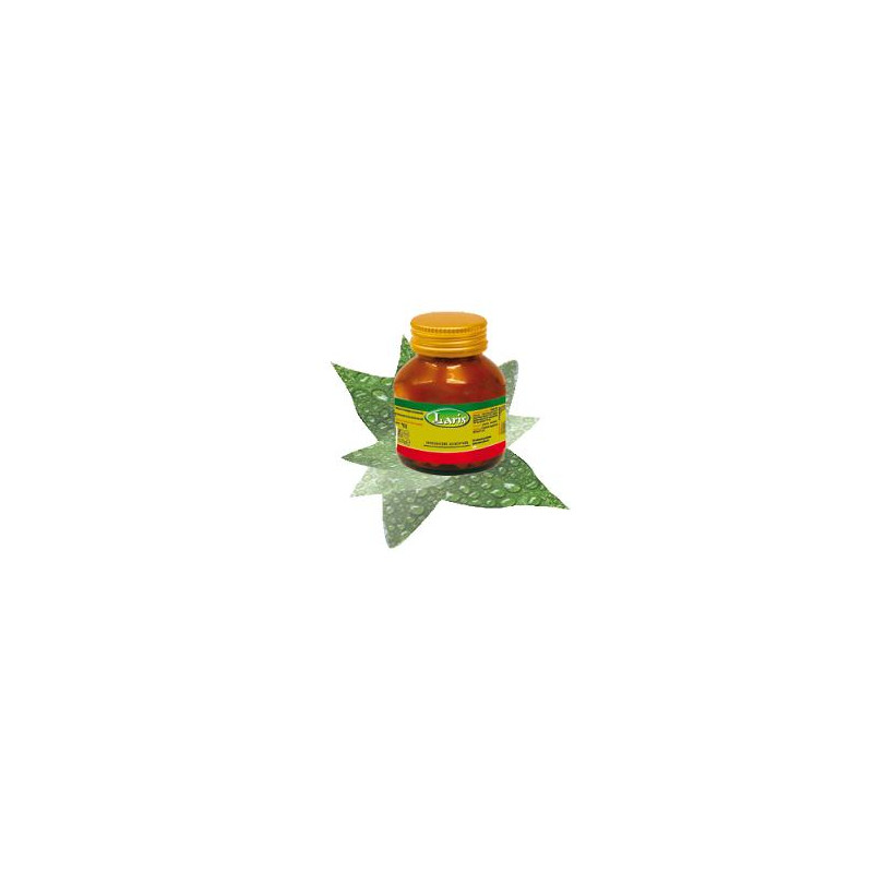 SPIRULINA 60 CAPSULE SPIRULINA 60 CAPSULE