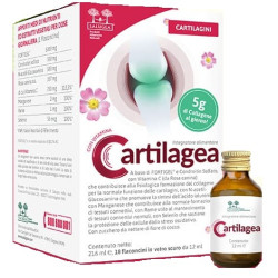 Confezione da 18 flaconcini di Salugea Cartilagea, integratore per il benessere di articolazioni e cartilagini.