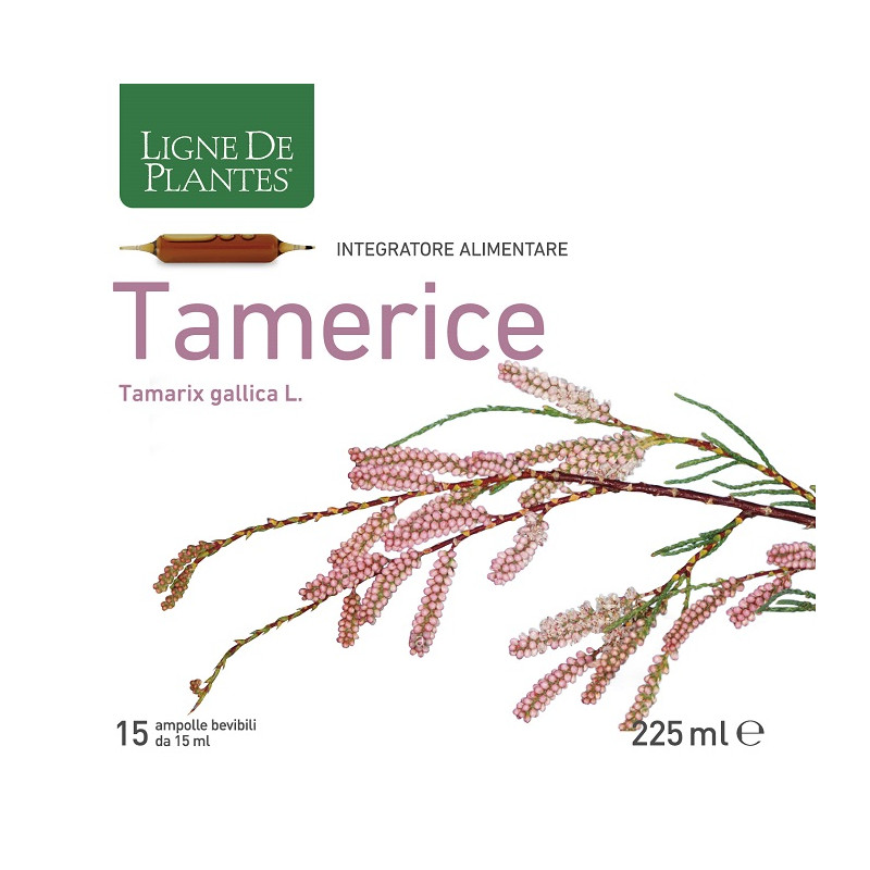 TAMERICE 15 AMPOLLE 15 ML TAMERICE 15 AMPOLLE 15 ML