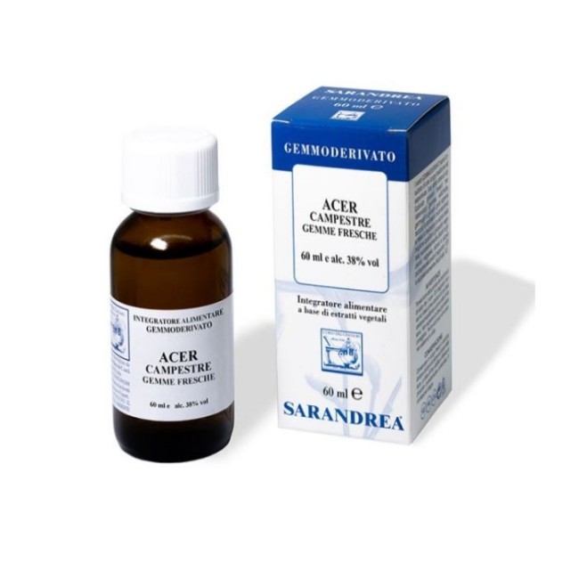 ACER CAMPESTRE 60 ML MACERATO GLICERICO ACER CAMPESTRE 60 ML MACERATO GLICERICO