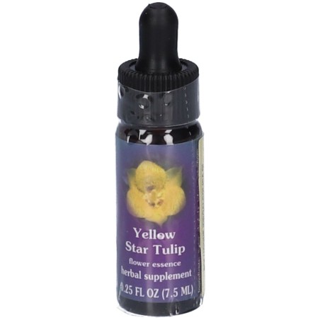 YELLOW STAR TULIP 7,4ML CALF