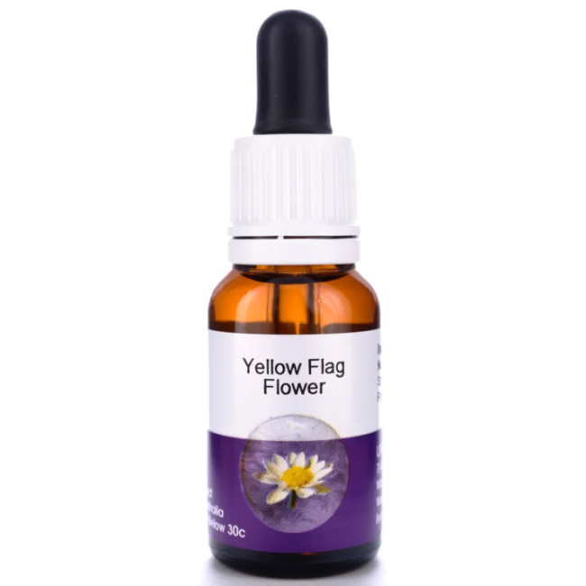 YELLOW FLAG FLOWER 15ML AUST YELLOW FLAG FLOWER 15ML AUST