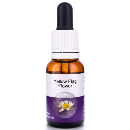 YELLOW FLAG FLOWER 15ML AUST