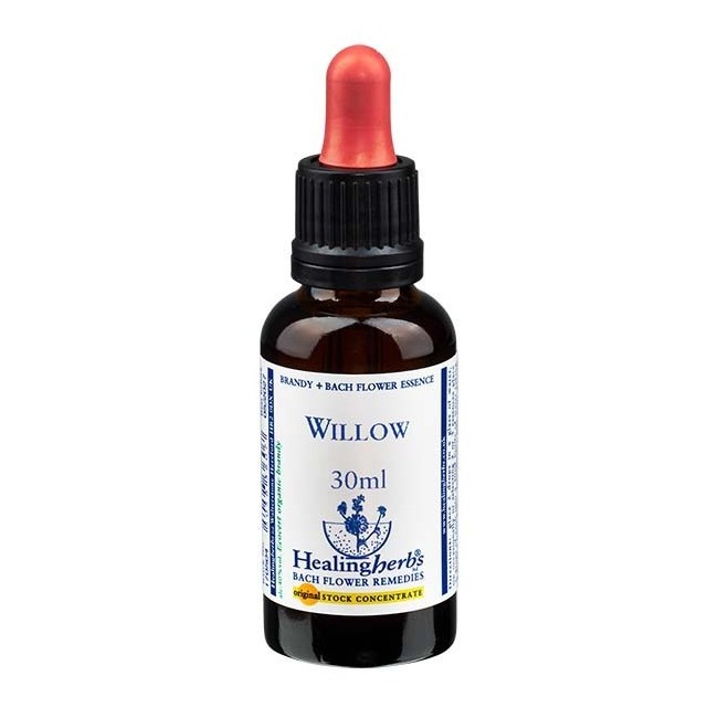 WILLOW ESSENZA 30 ML 1 PEZZO WILLOW ESSENZA 30 ML 1 PEZZO