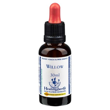 WILLOW ESSENZA 30 ML 1 PEZZO
