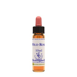 WILD ROSE ESSENZA 10 ML 1 PEZZO