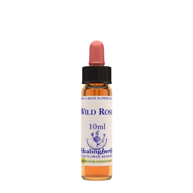 WILD ROSE ESSENZA 10 ML 1 PEZZO WILD ROSE ESSENZA 10 ML 1 PEZZO