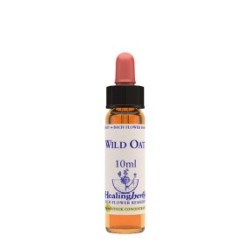 WILD OAT ESSENZA 10 ML 1 PEZZO