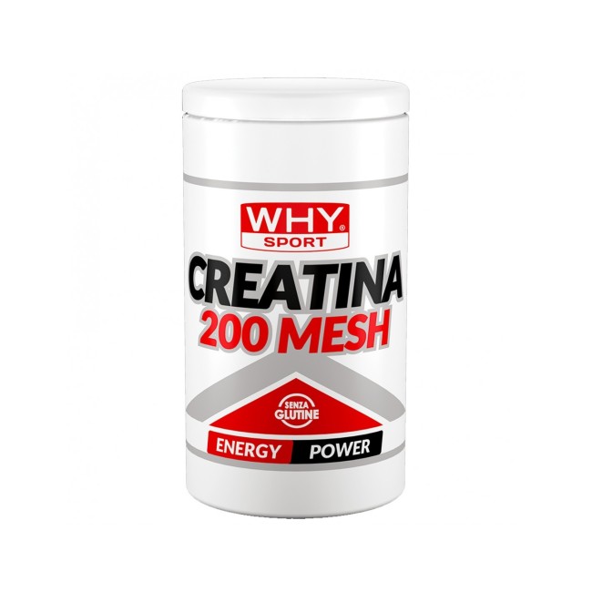 WHYSPORT CREATINA 200 MESH 500 G WHYSPORT CREATINA 200 MESH 500 G
