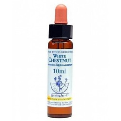 WHITE CHEST ESSENZA 10 ML 1 PEZZO