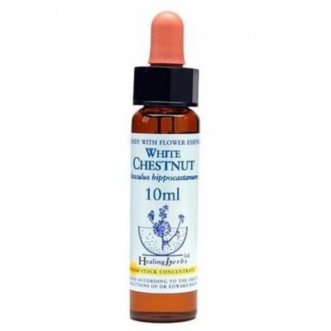 WHITE CHEST ESSENZA 10 ML 1 PEZZO WHITE CHEST ESSENZA 10 ML 1 PEZZO