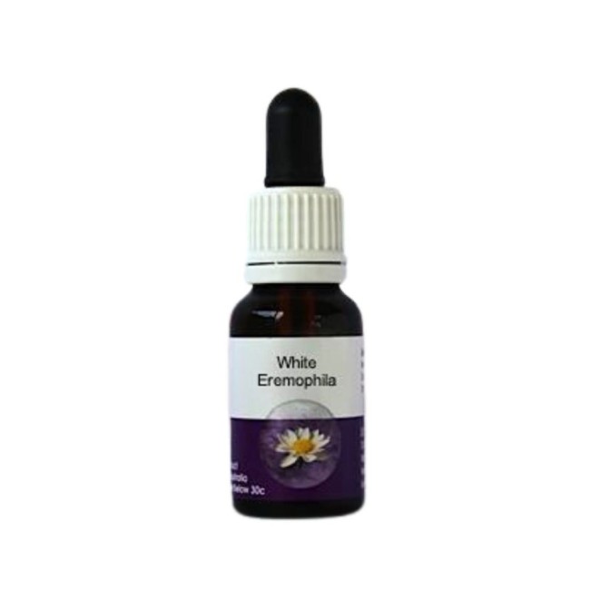WHITE EREMOPHILA 15ML WHITE EREMOPHILA 15ML
