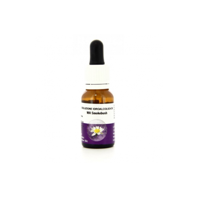 WEST AUST SMOKEBUSH 15ML AUST WEST AUST SMOKEBUSH 15ML AUST