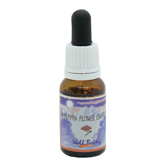 WELL BEING ESSENZA 15 ML 1 PEZZO WELL BEING ESSENZA 15 ML 1 PEZZO
