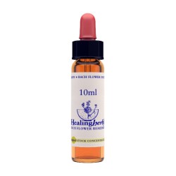 WALNUT ESSENZA 10 ML 1 PEZZO