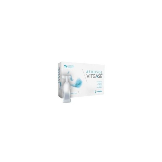 VITGASE AEROSOL 15 FLACONCINI MONODOSE DA 5 ML VITGASE AEROSOL 15 FLACONCINI MONODOSE DA 5 ML