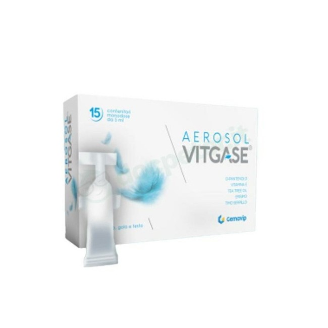 Vitgase Aerosol 15 Flaconcini 5 Ml Vitgase Aerosol 15 Flaconcini 5 Ml