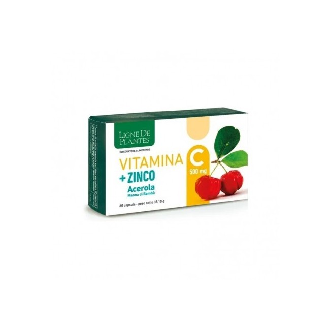 VITAMINA C+ZINCO 60 CAPSULE VITAMINA C+ZINCO 60 CAPSULE