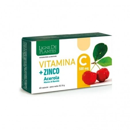 VITAMINA C+ZINCO 60 CAPSULE