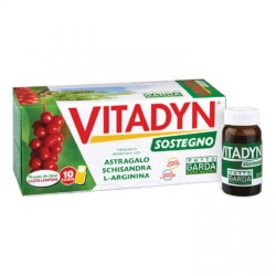 Vitadyn Sostegno 10 Flaconcini Da 10 Ml