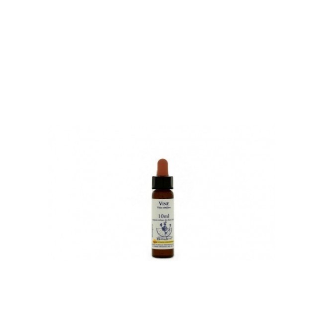 VINE ESSENZA 10 ML 1 PEZZO VINE ESSENZA 10 ML 1 PEZZO