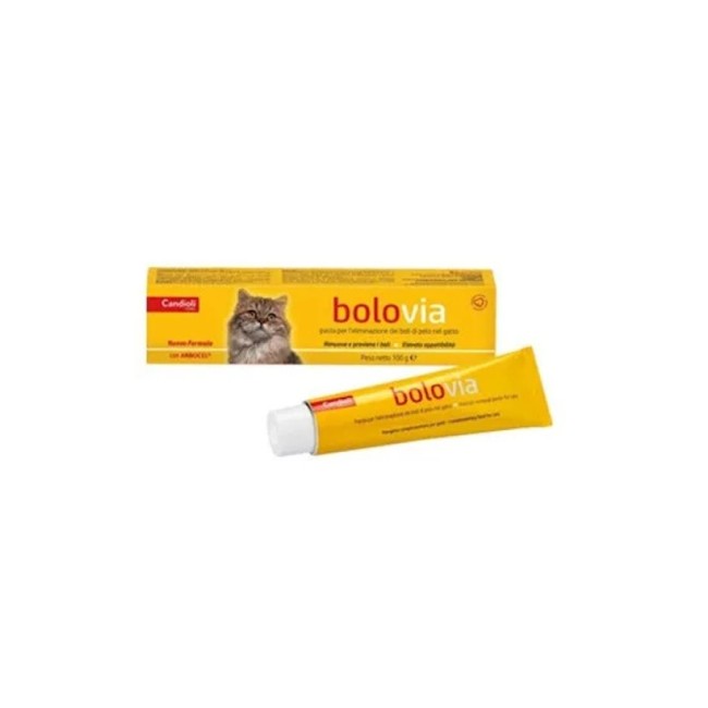 BOLO VIA PASTA GATTI 100 G BOLO VIA PASTA GATTI 100 G