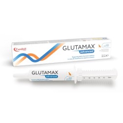 Confezione da 30 ml con siringa dosatrice di Candioli Glutamax Advanced Pasta Per Cani E Gatti Per Funzionalità Del Fegato.