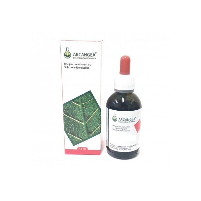 VERONICA SOMMITA' FIORITE TINTURA MADRE 55% ESTRATTO IDROALCOLICO 50 ML VERONICA SOMMITA' FIORITE TINTURA MADRE 55% ESTRATTO IDROALCOLICO 50 ML