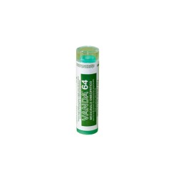 VANDA 64*4G 80GR CONT MULTID