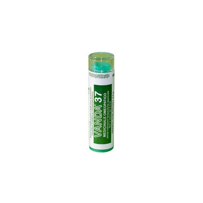 VANDA 37*4G GR CONT MULTID VANDA 37*4G GR CONT MULTID