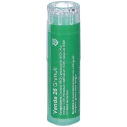 VANDA 26*4G 80GR CONT MULTID