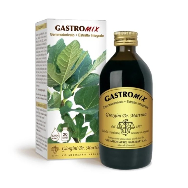 GASTROMIX LIQUIDO ANALCOLICO 200 ML GASTROMIX LIQUIDO ANALCOLICO 200 ML