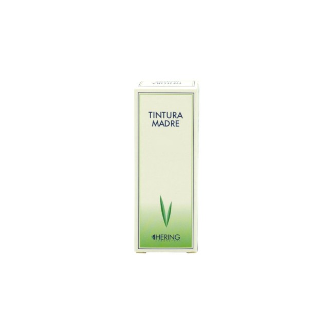 Uva Ursina 125 Ml Tintura Madre Uva Ursina 125 Ml Tintura Madre